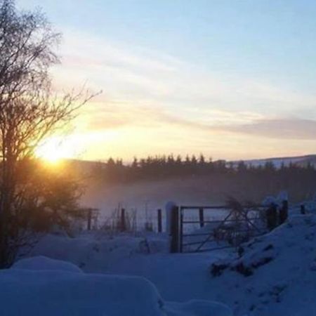 Red Squirrel Log Cabin With Hot Tub Keith Exteriör bild