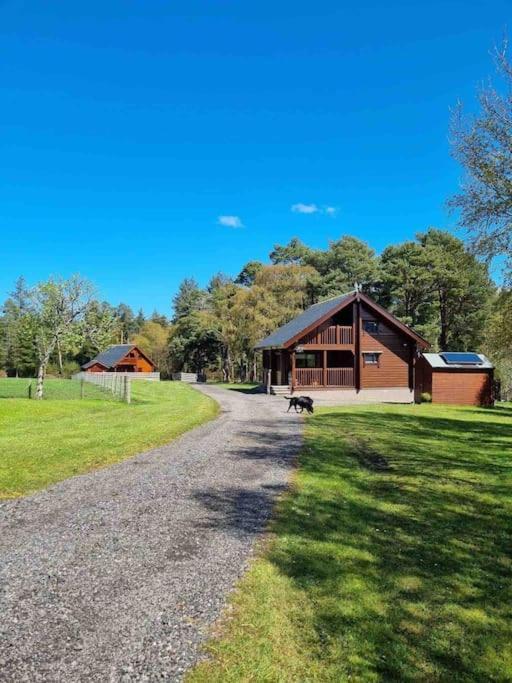 Red Squirrel Log Cabin With Hot Tub Keith Exteriör bild